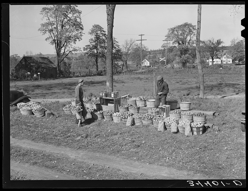 Illustration for article titled Roadside Stand